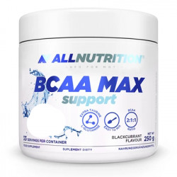 BCAA MAX SUPPORT - 250g limone